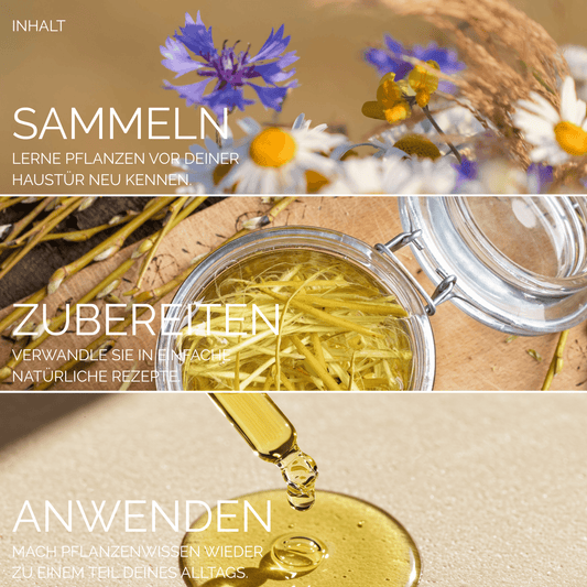 Weisheiten der Natur
