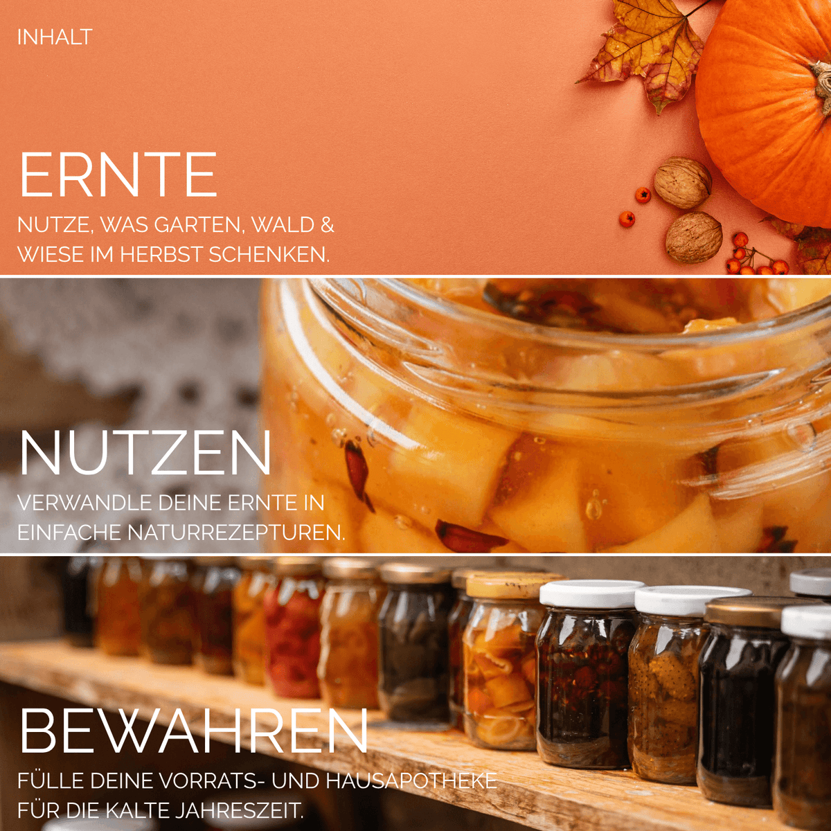 Der gesunde Herbst
