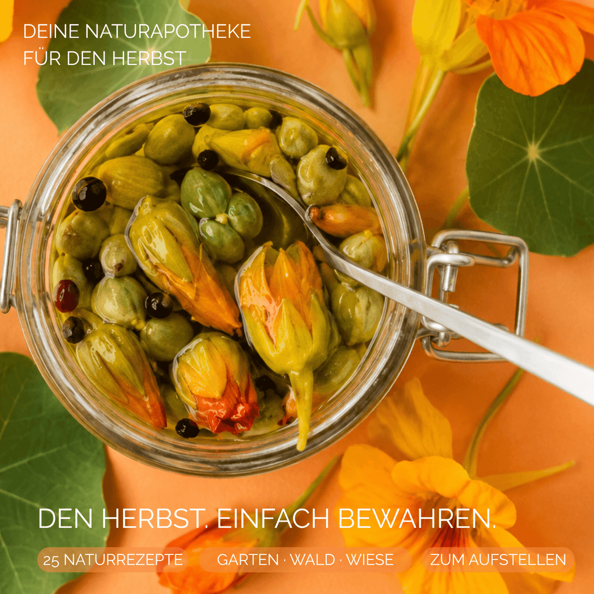 Der gesunde Herbst