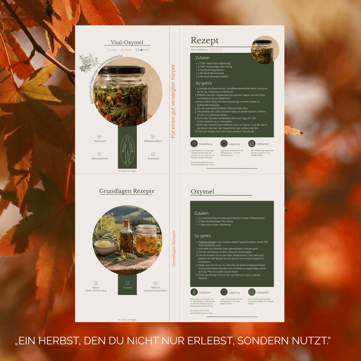 Der gesunde Herbst