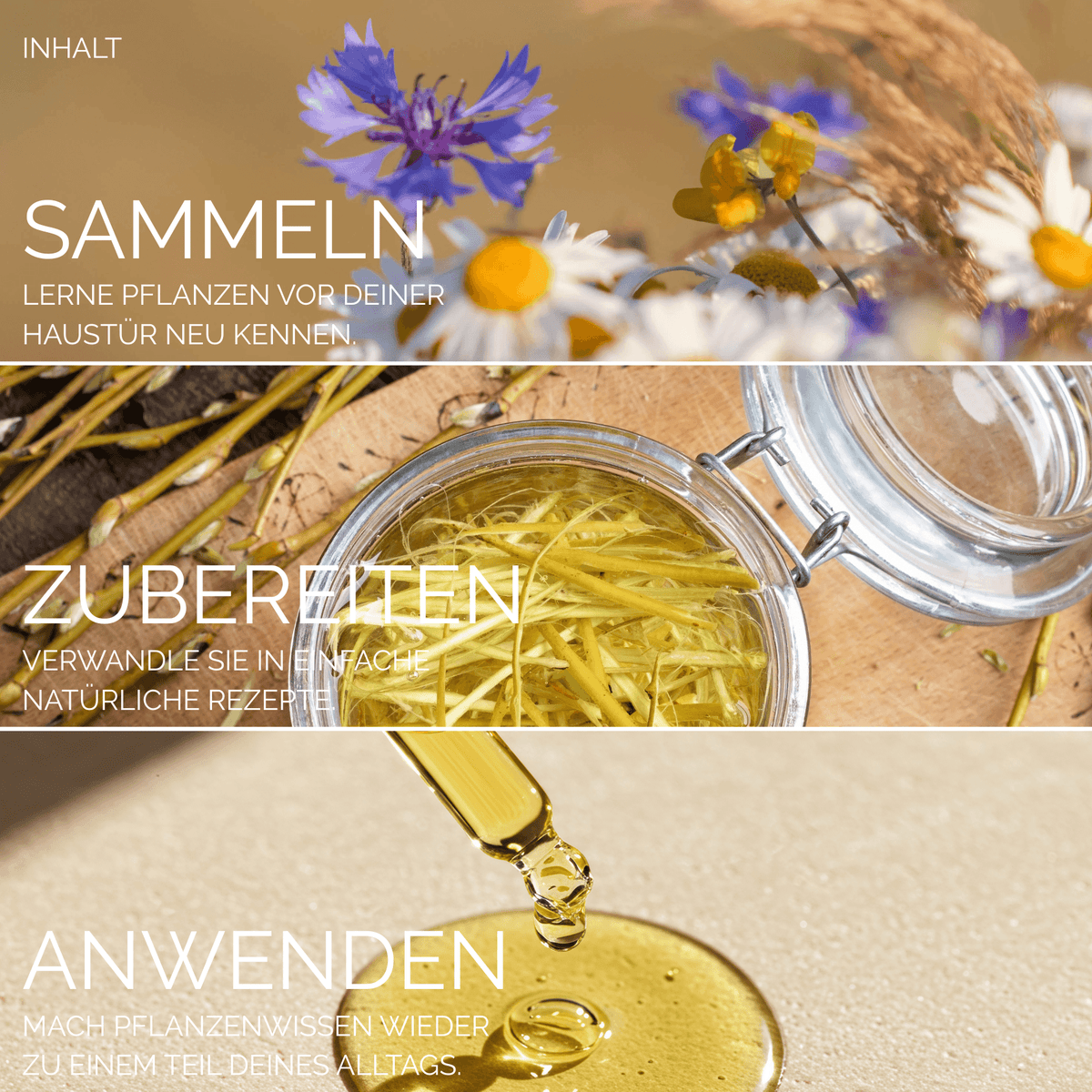 Weisheiten der Natur