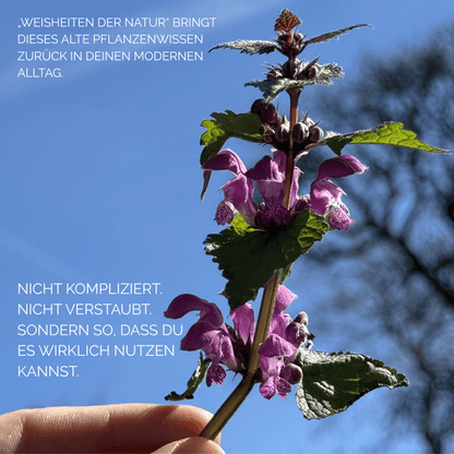 Weisheiten der Natur