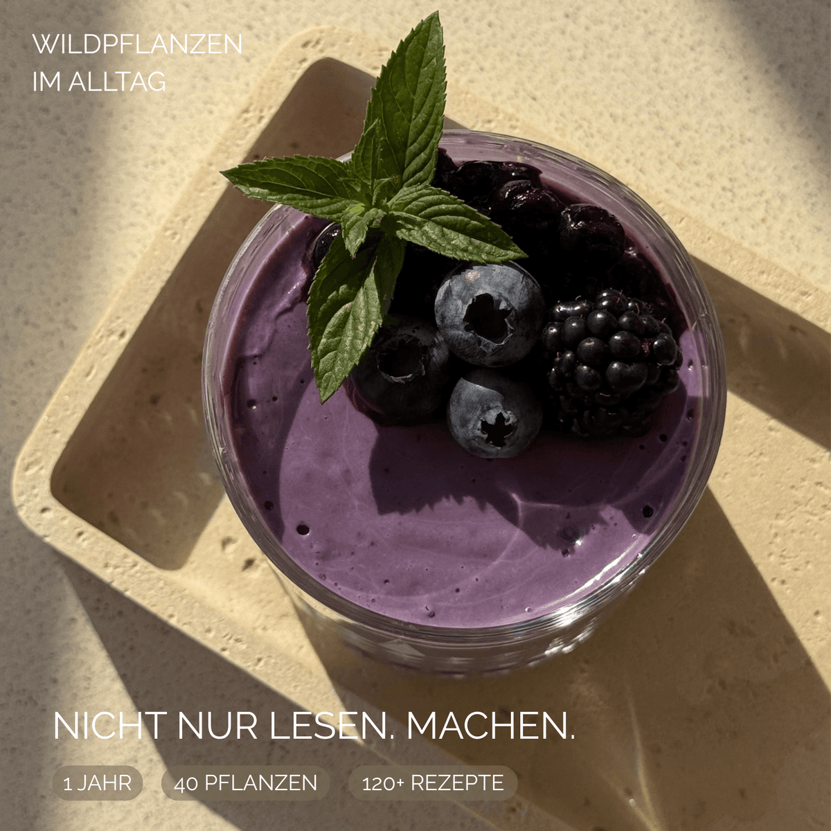 Weisheiten der Natur