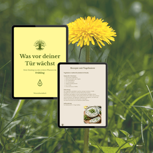 Was vor deiner Tür wächst – Dein Einstieg zu den ersten Pflanzen im Frühling