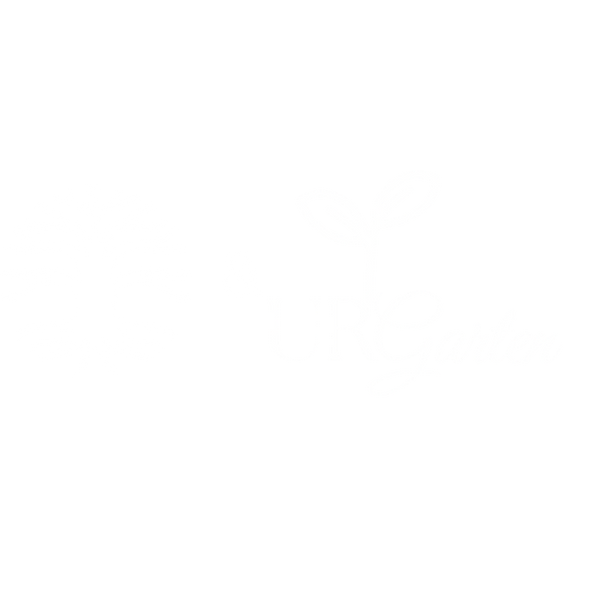 Wurzelweisheit